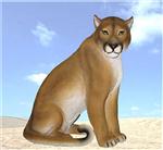 WLD29910 Puma Sitting Mountain Lion